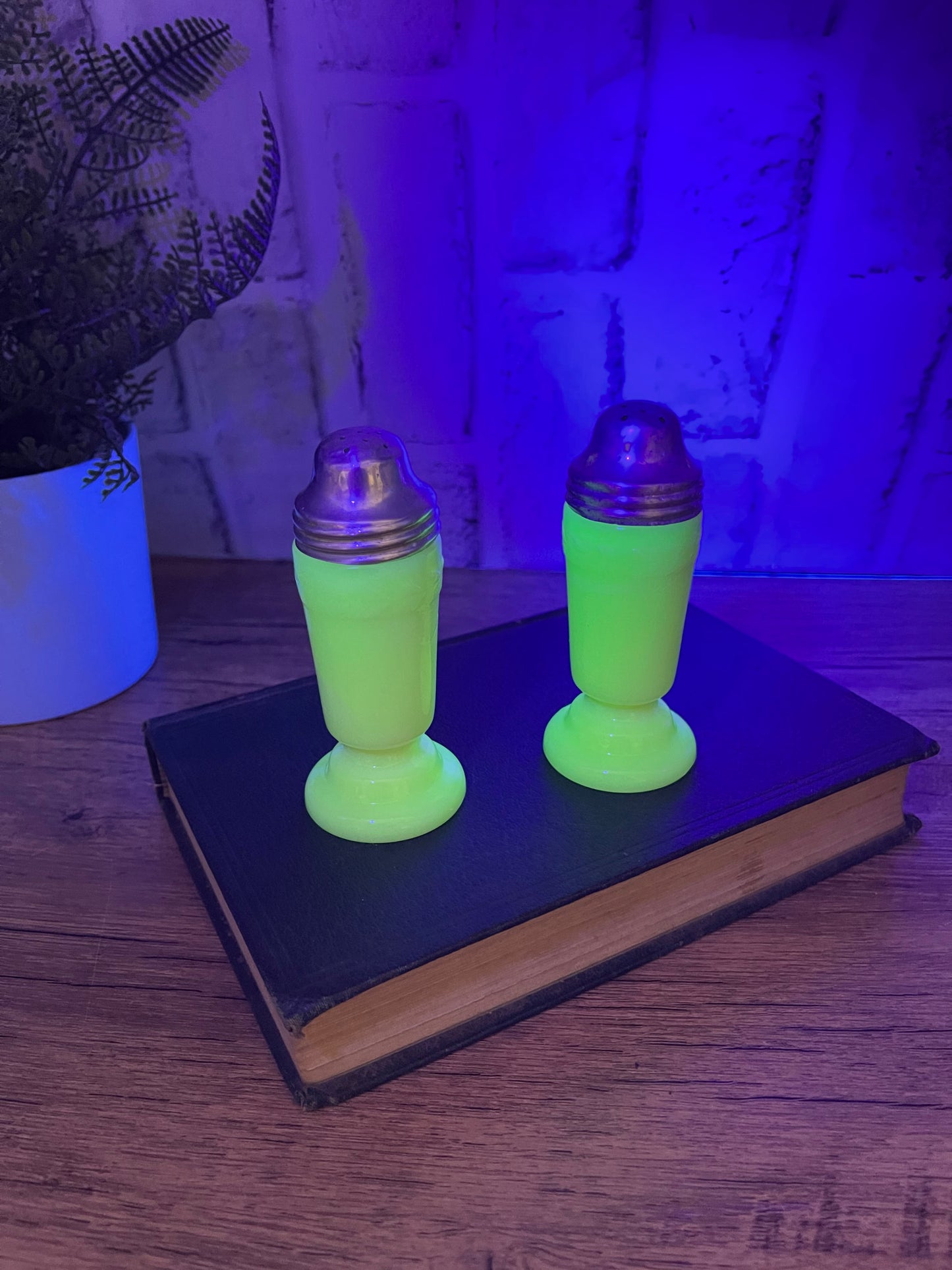 Custard Uranium Salt and Pepper Shakers